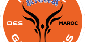 RAG18_Logo-site-310